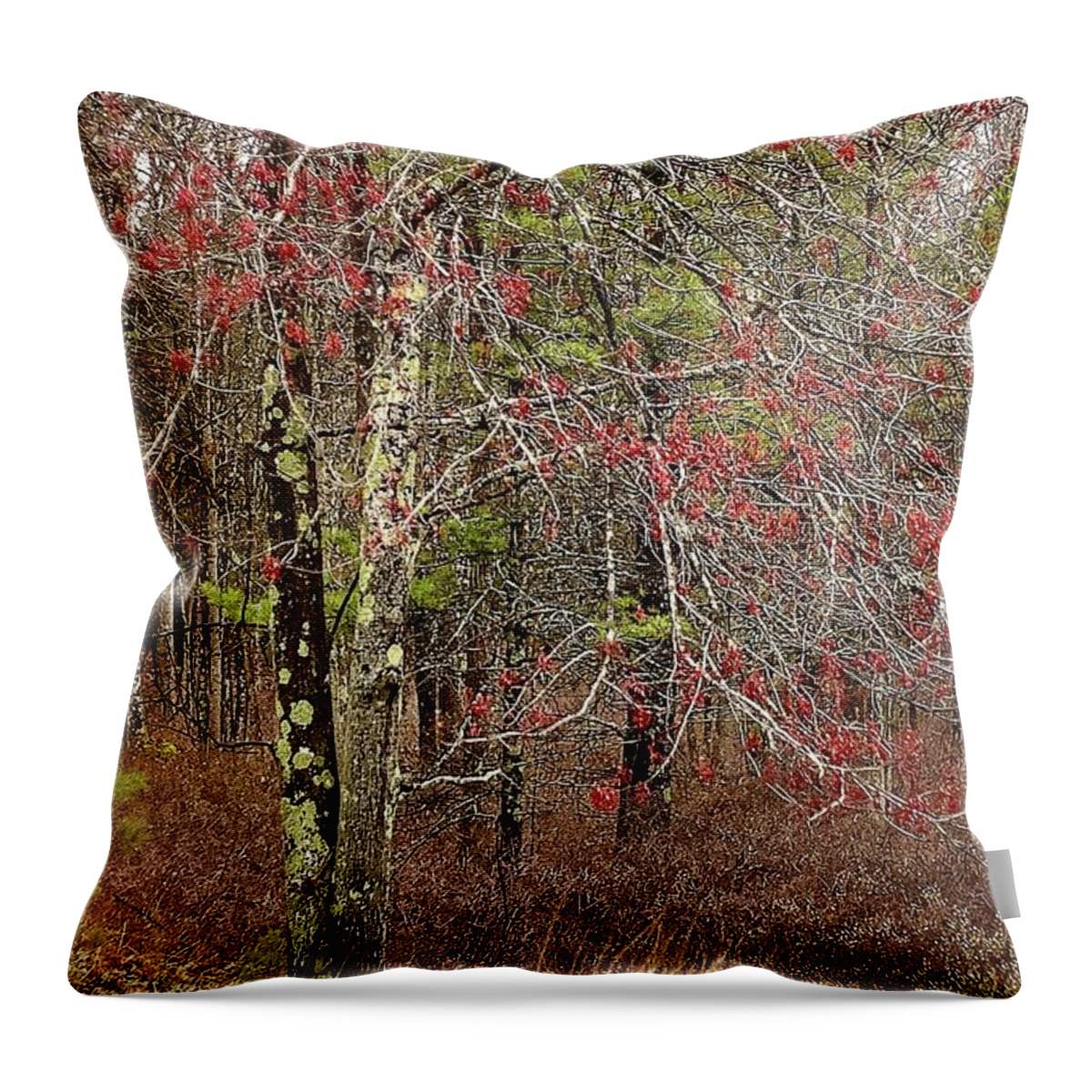 Woods Throw Pillow featuring the photograph Early Spring in the Forest by Randy Pollard