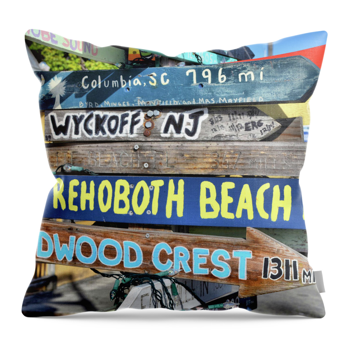 Coast Throw Pillow featuring the photograph East Coasters by JAMART Photography