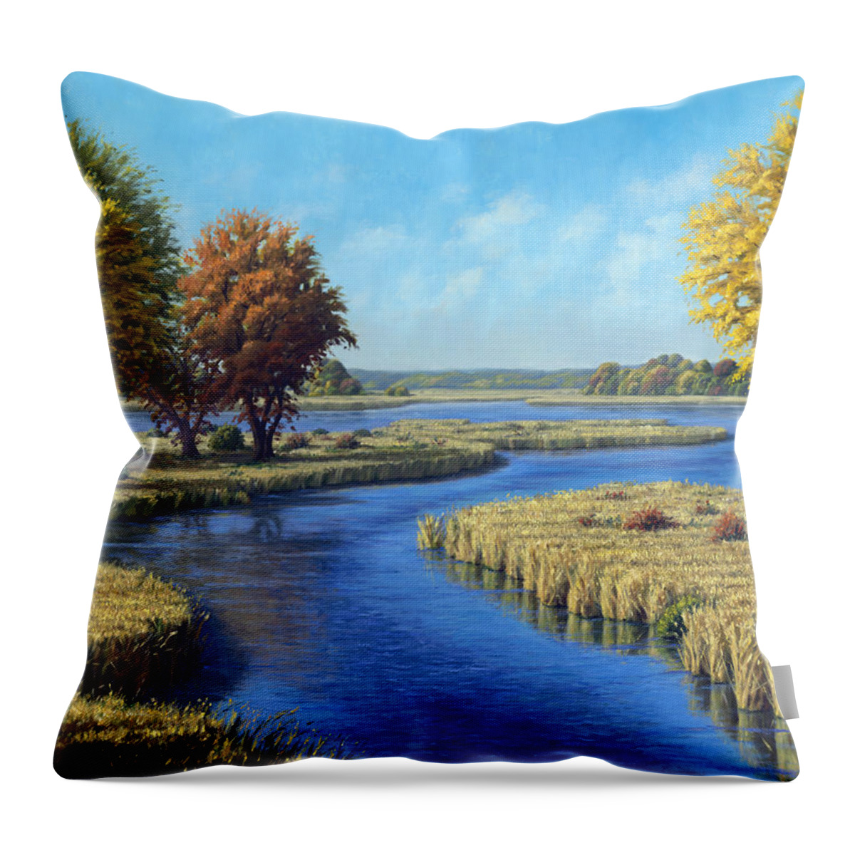 Landscape Throw Pillow featuring the painting Sunrise River, East of Stacy by Rick Hansen