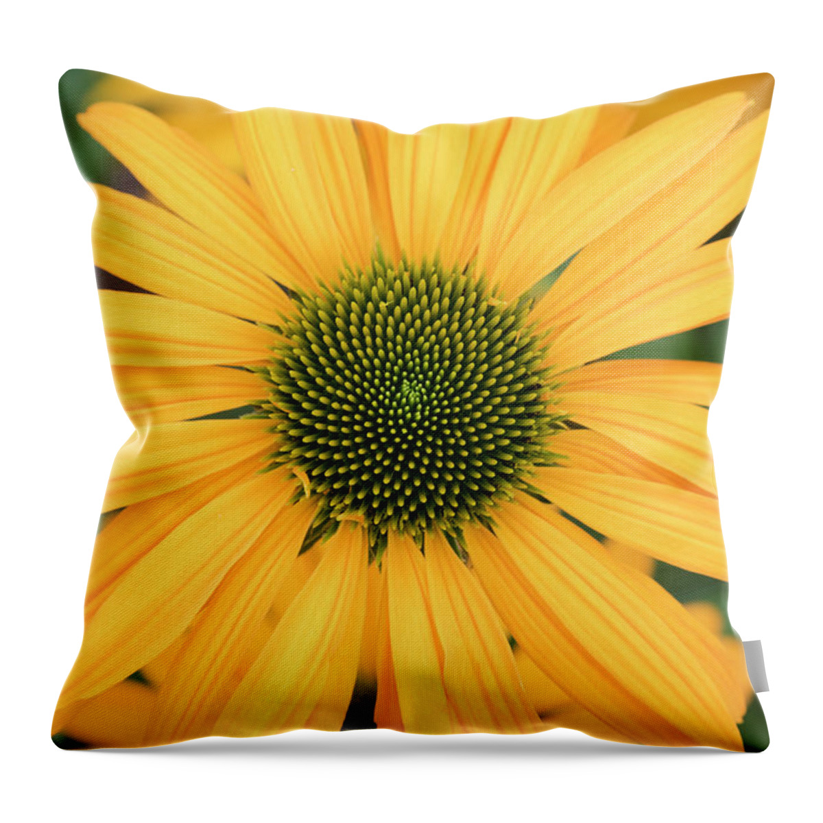 Echinacea Now Cheesier Throw Pillow featuring the photograph Echinacea Now Cheesier Flower by Tim Gainey
