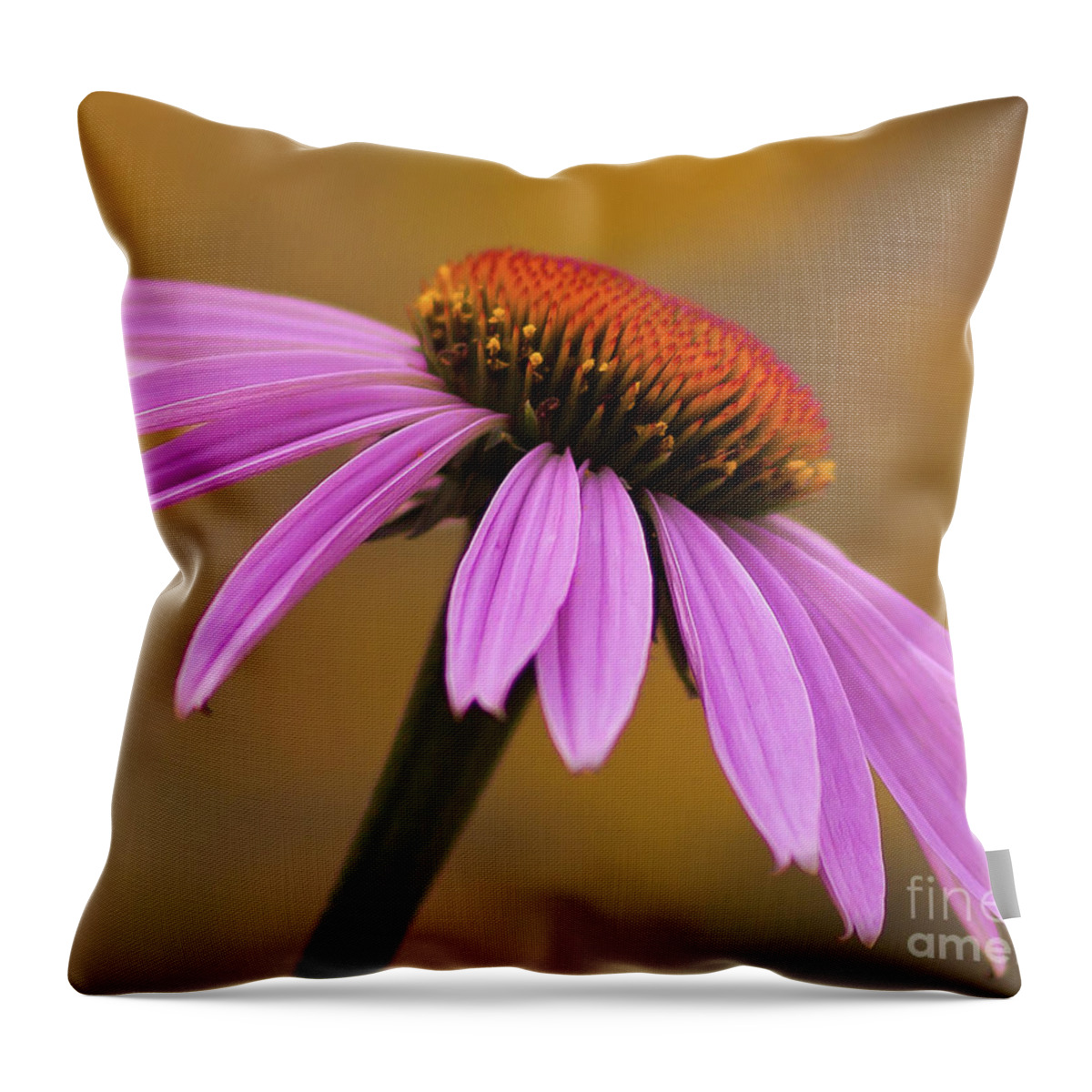 Flower Throw Pillow featuring the photograph Echinacea by Pam Holdsworth