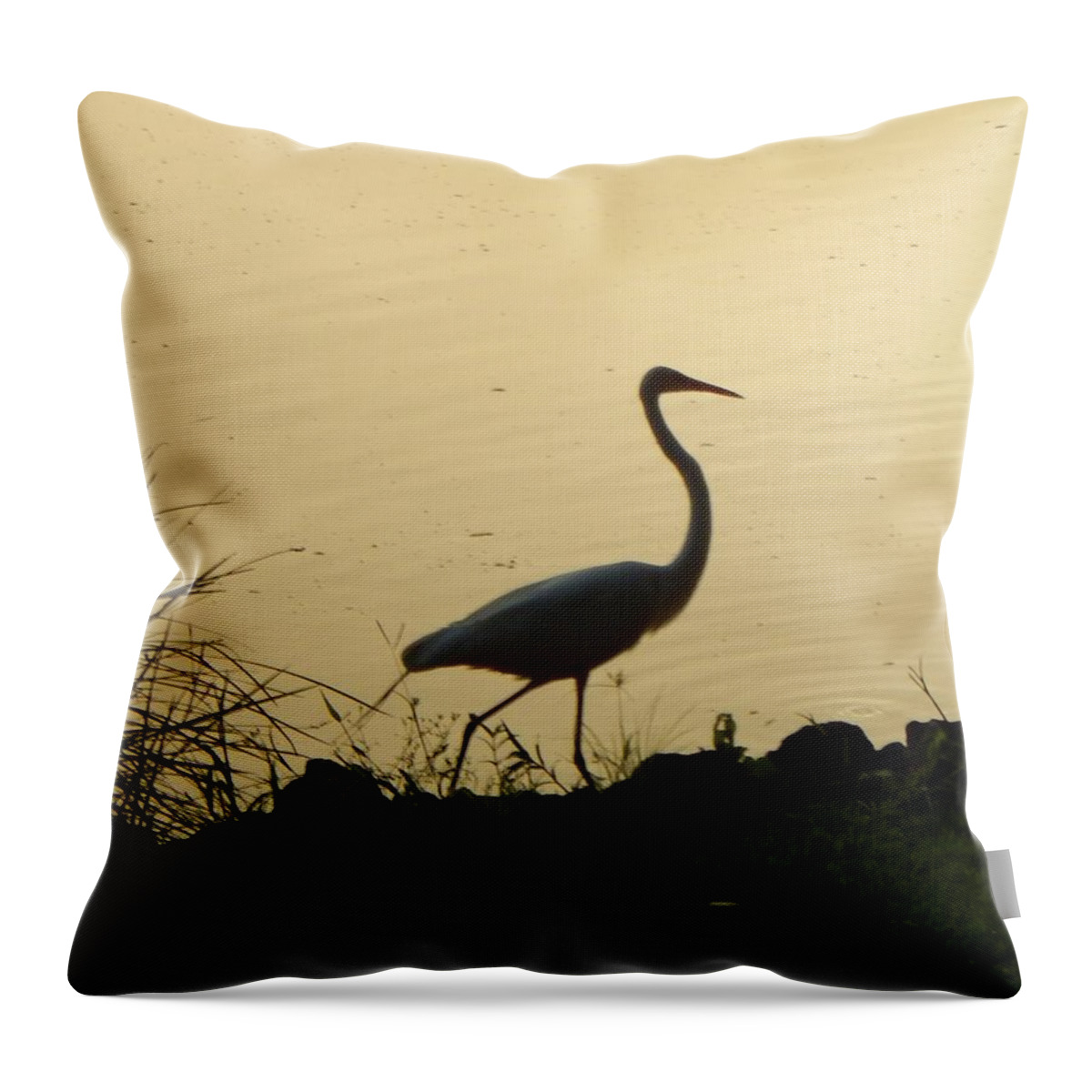 Bird Throw Pillow featuring the photograph Egret in Silhouette by Karen Stansberry