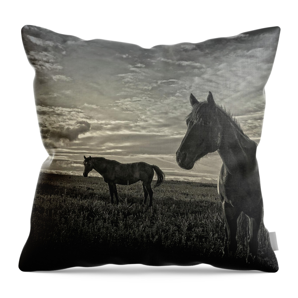 Horses Throw Pillow featuring the photograph Elegance in Evening Sunlight by Toni Hopper