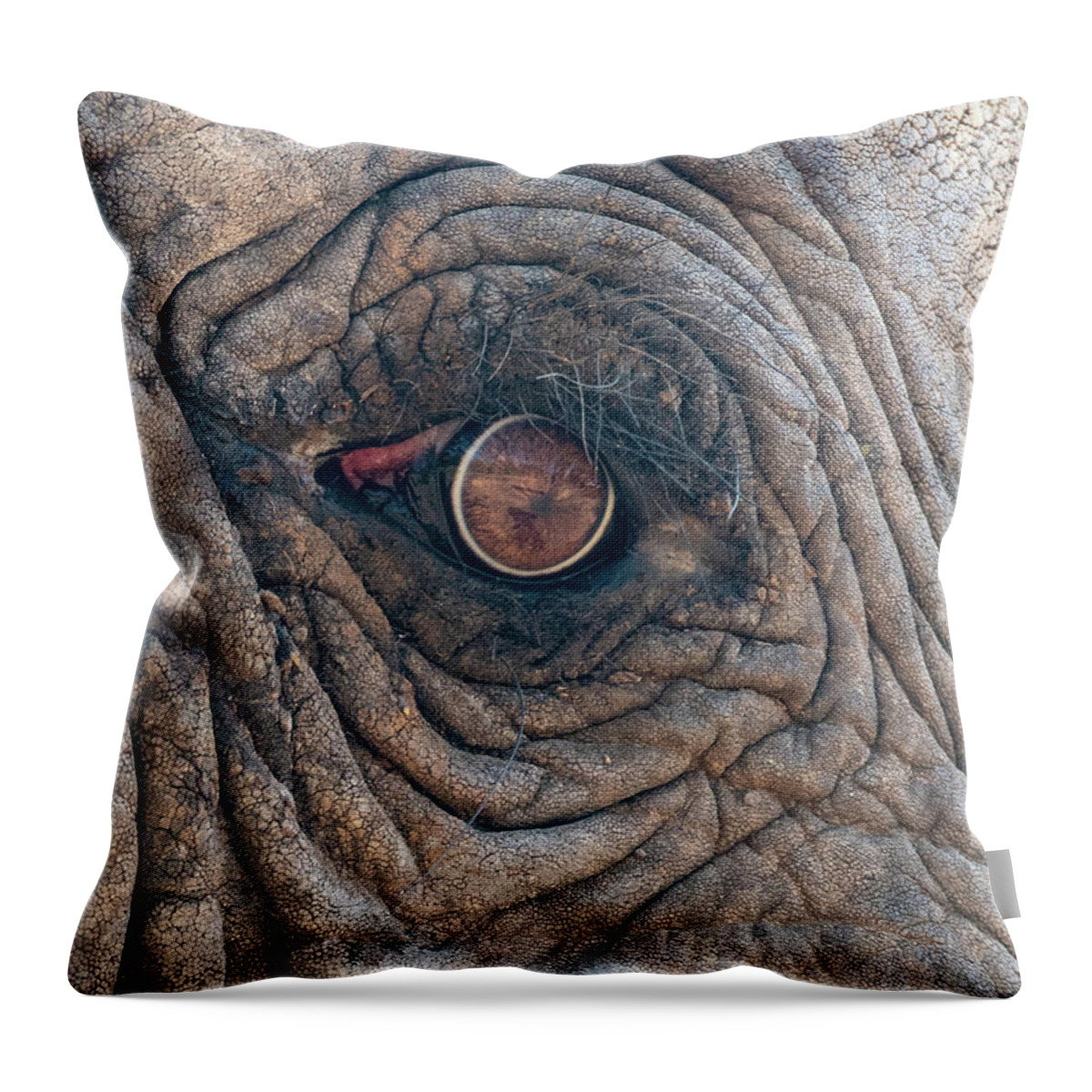 Elephant Throw Pillow featuring the photograph Elephant Eye by Mark Hunter