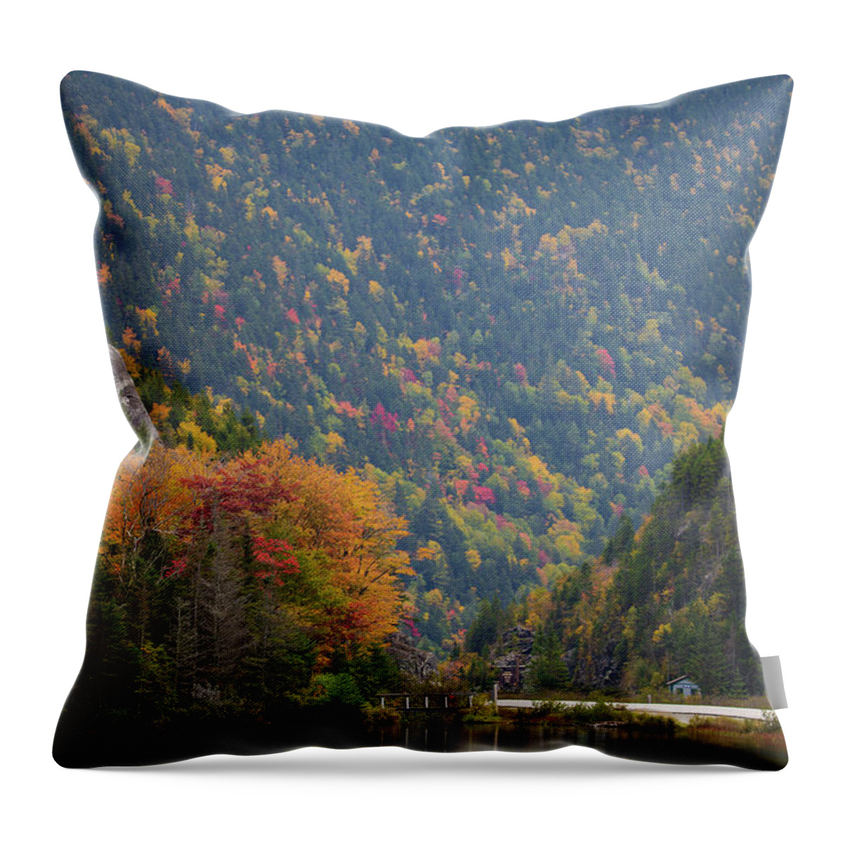 Elephant Throw Pillow featuring the photograph Elephant Head Autumn by White Mountain Images