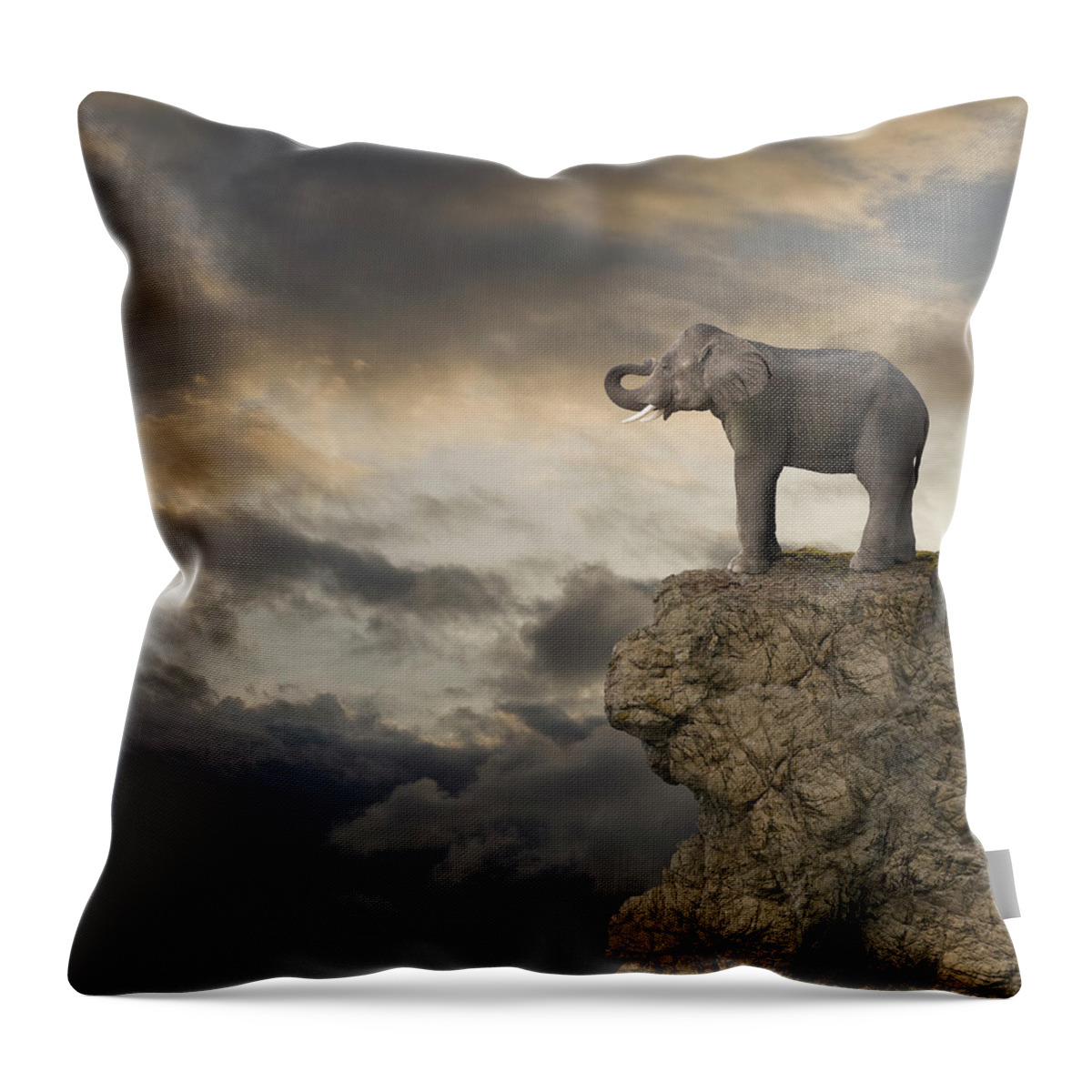 Risk Throw Pillow featuring the photograph Elephant On The Edge Of A Cliff by John Lund