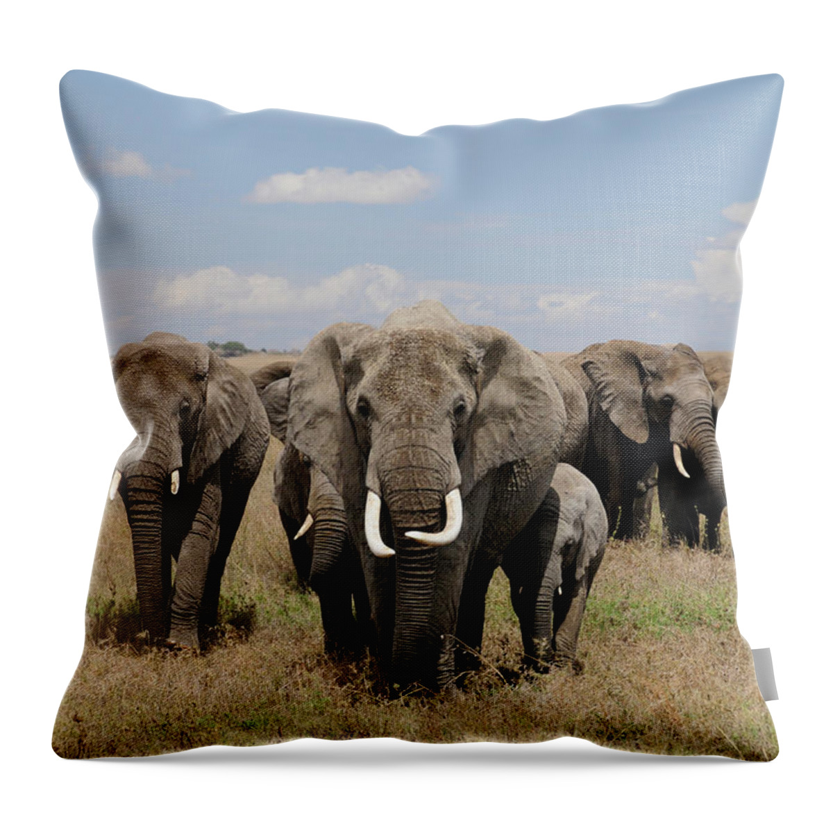 Grass Throw Pillow featuring the photograph Elephant Walk - Serengeti by Drew Prineas