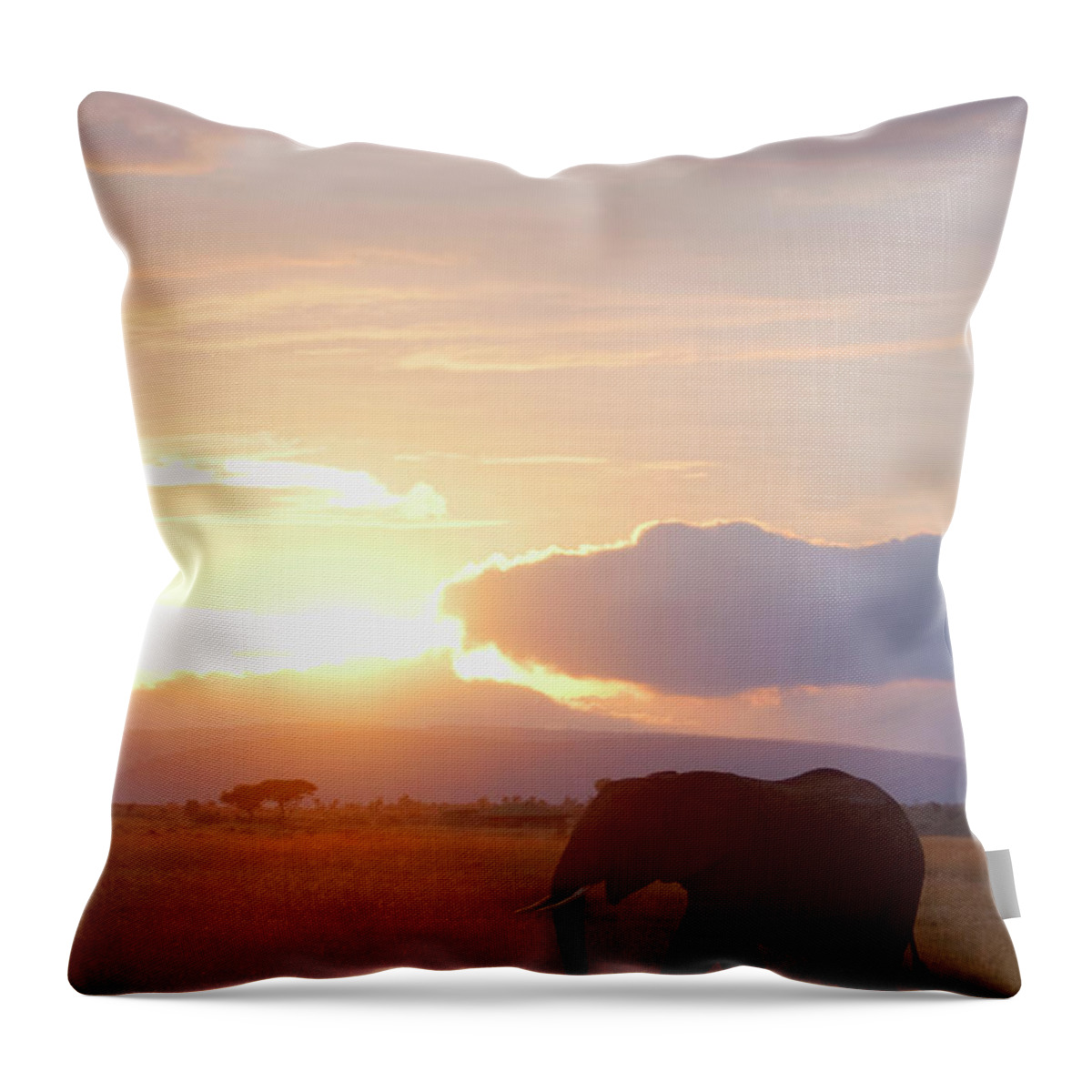 Scenics Throw Pillow featuring the photograph Elephant Walking At Sunrise by Grant Faint