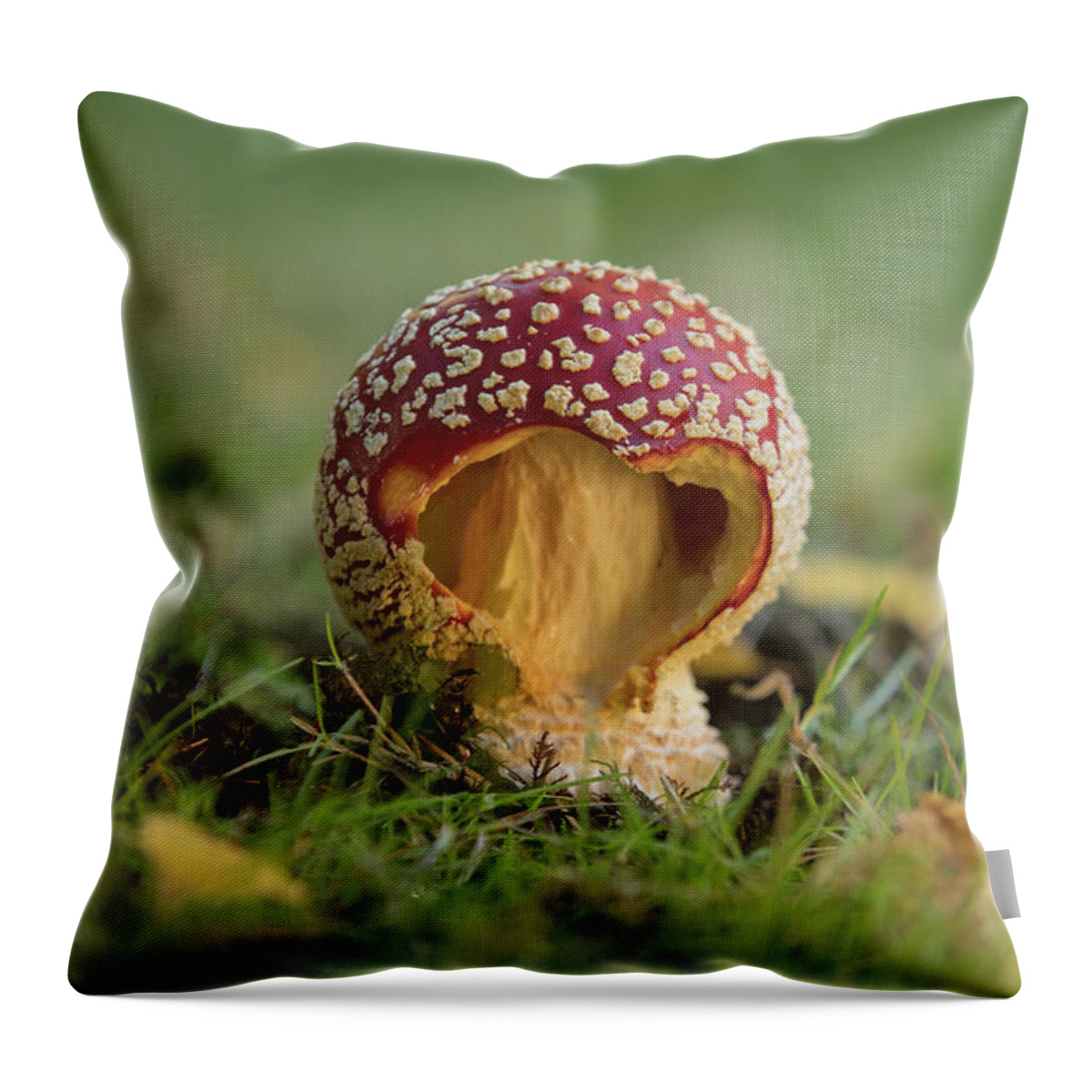 Mushroom Throw Pillow featuring the photograph Elf's House by Mary Jo Allen