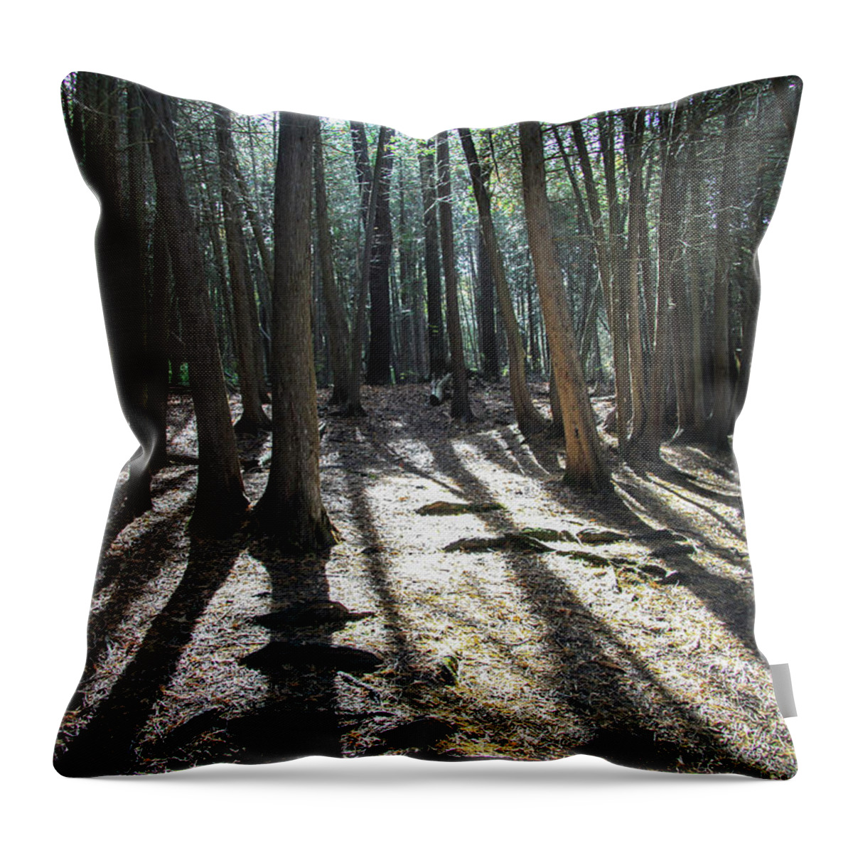 Forest Throw Pillow featuring the digital art Elora 2 by AhilA Gallery