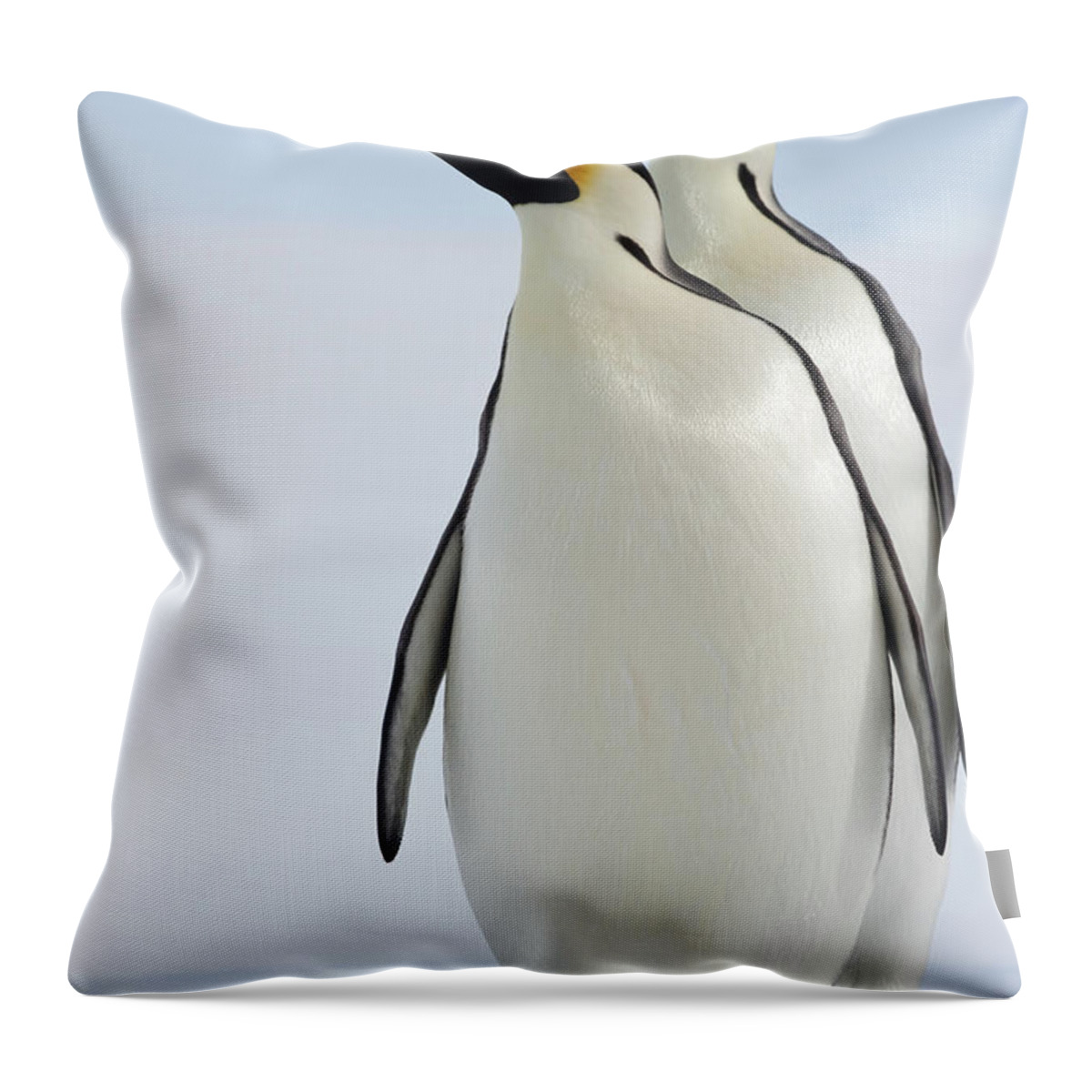 Emperor Penguin Throw Pillow featuring the photograph Emperor Penguins by A Gandola