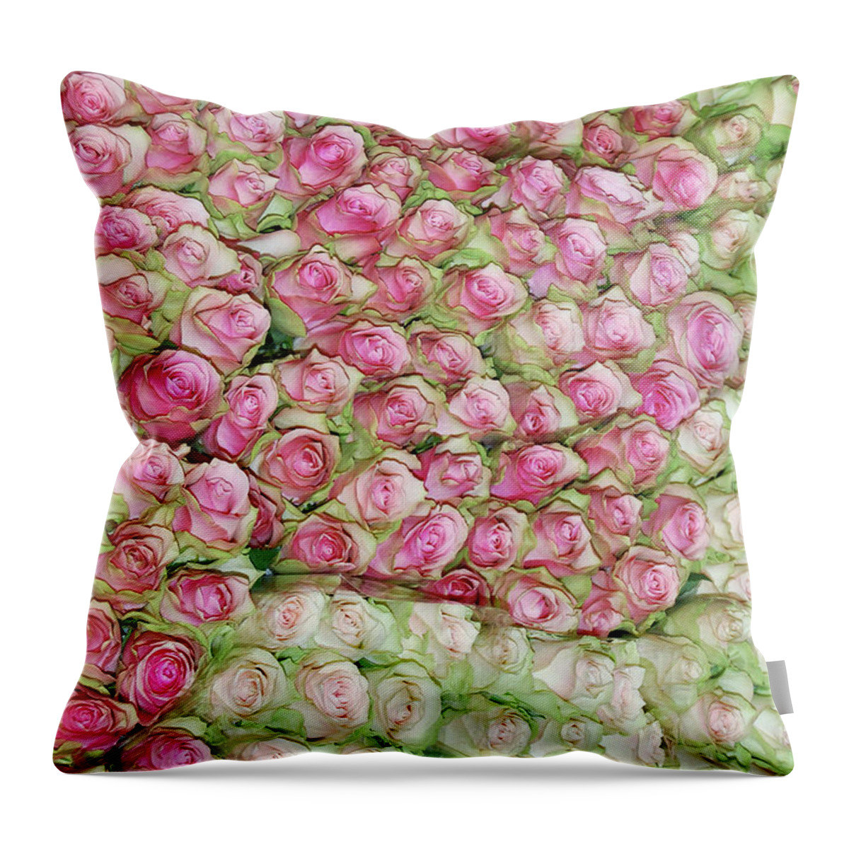 1936 Throw Pillow featuring the photograph Empress Josephine's Roses by JAMART Photography