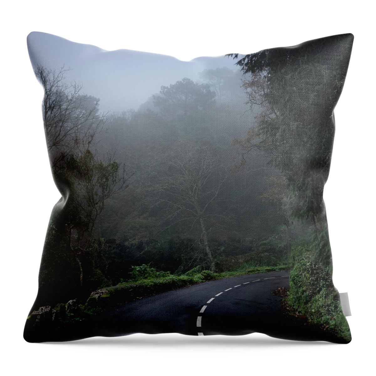 Curve Throw Pillow featuring the photograph Empty Road Under Mist by Julio Lopez Saguar