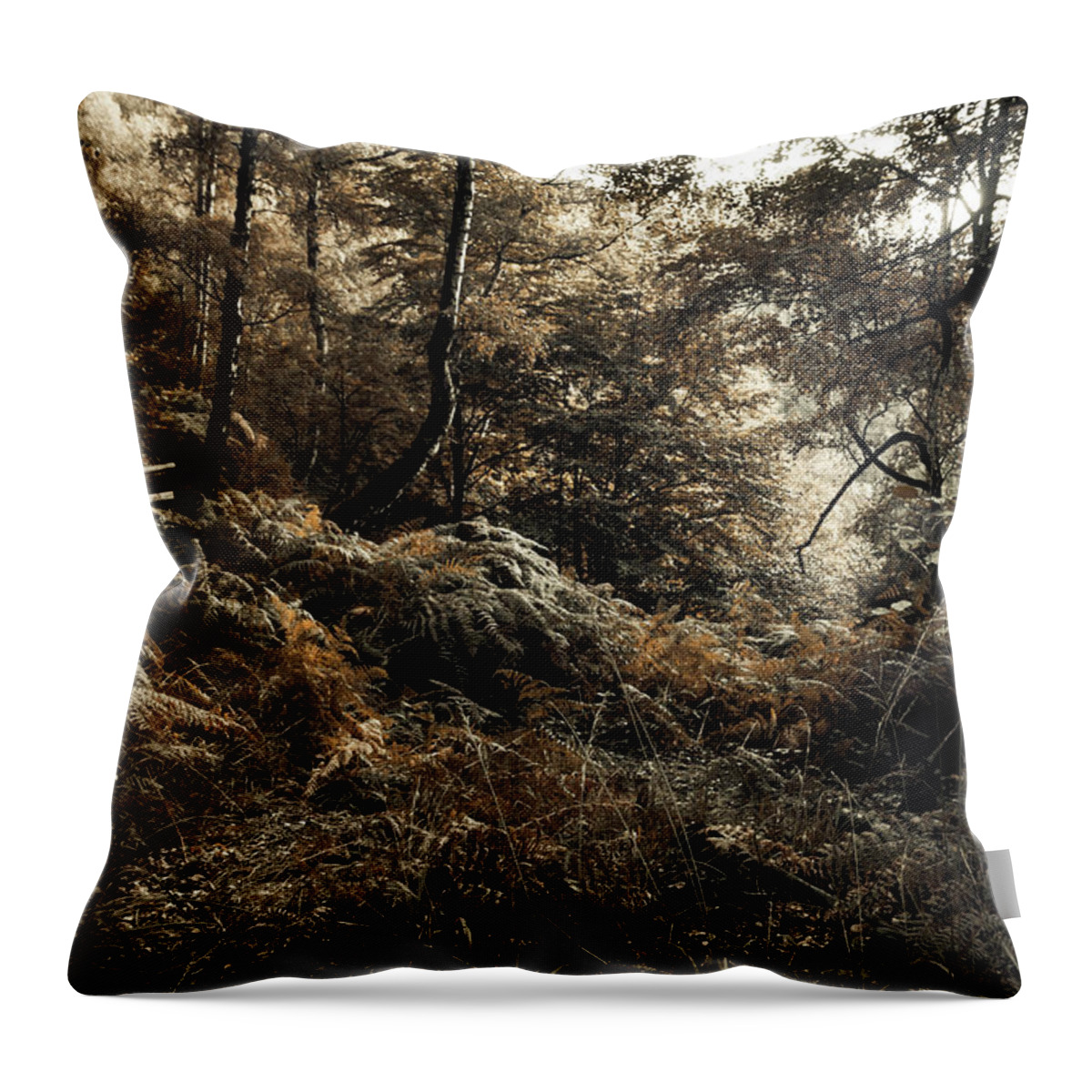 Jenny Rainbow Fine Art Photography Throw Pillow featuring the photograph Enchanted Forest. Gothic by Jenny Rainbow