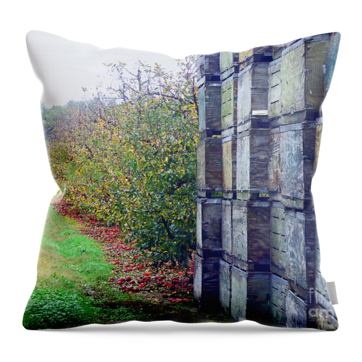 Abstract Throw Pillow featuring the painting End of Apple Season 300 by Sharon Williams Eng