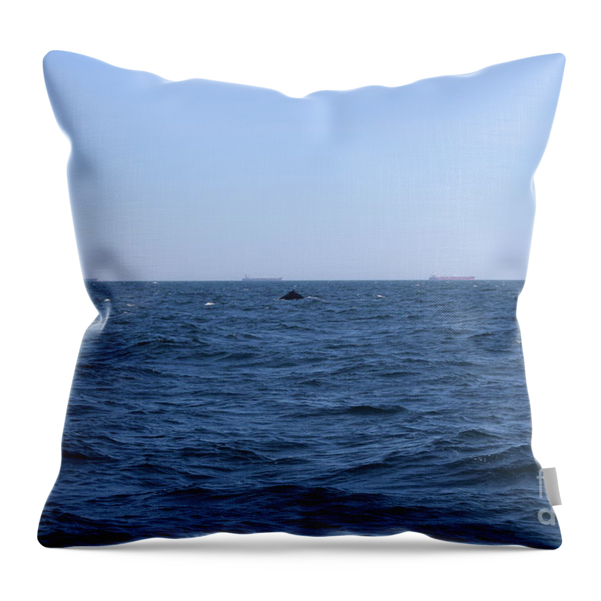 Endless Water Throw Pillow featuring the photograph Endless Water by Barbra Telfer