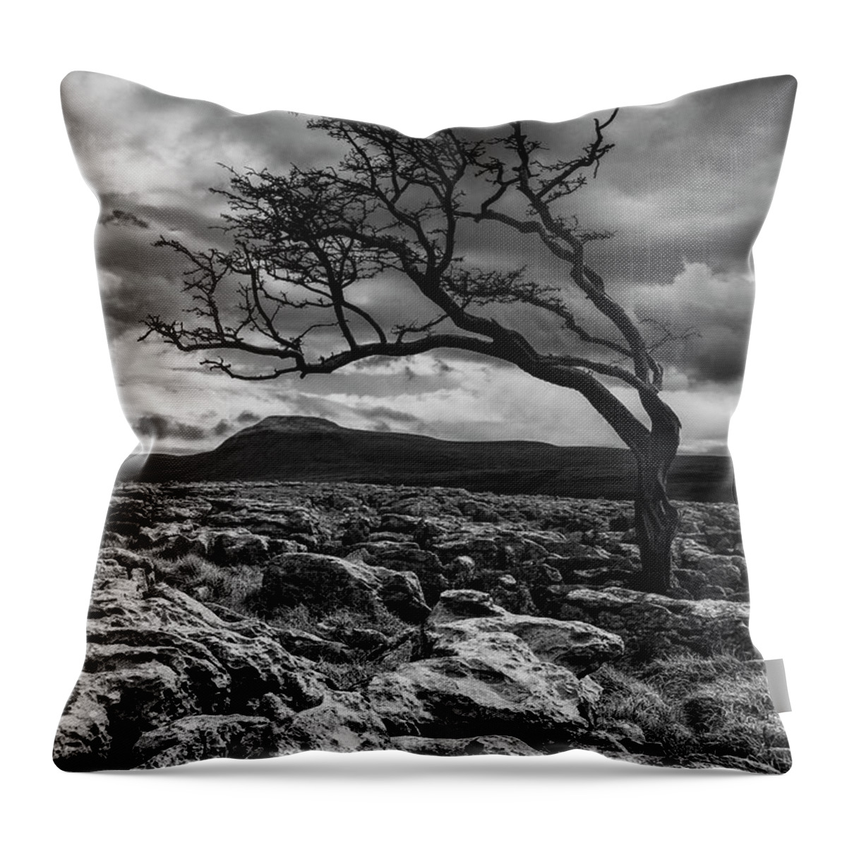 Scenics Throw Pillow featuring the photograph England, North Yorkshire, Twisleton by Jason Friend Photography Ltd