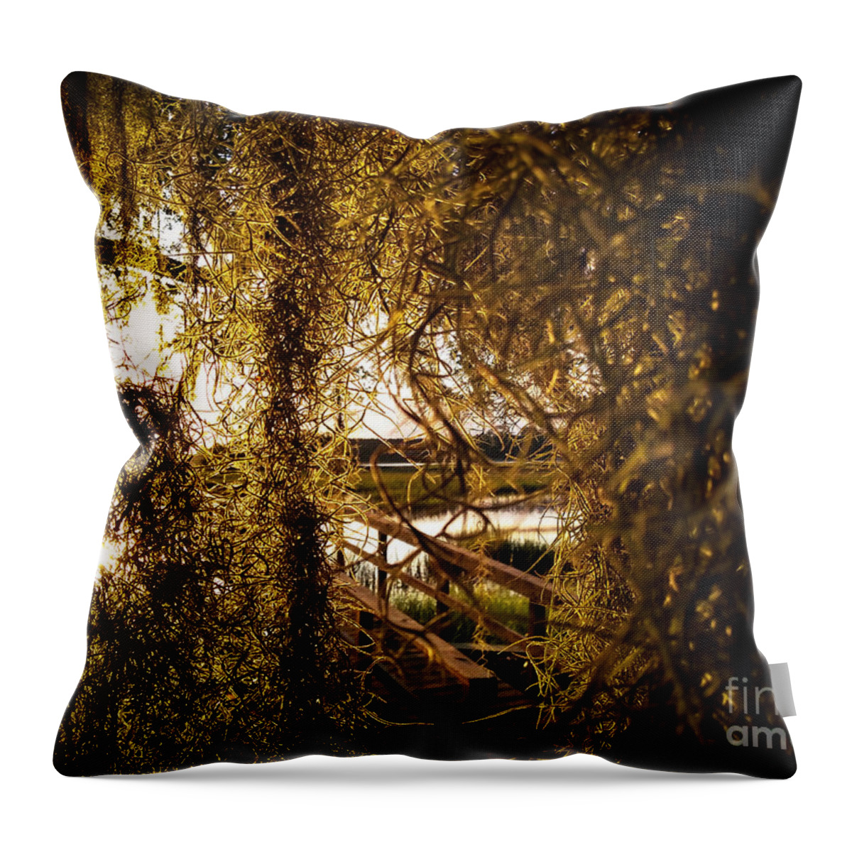 Johns Island Throw Pillow featuring the photograph Entry by Robert Knight