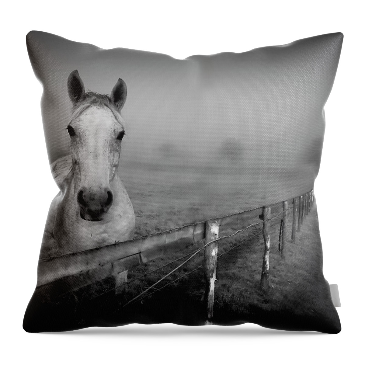 Horse Throw Pillow featuring the photograph Equine Fog by Taken With Passion