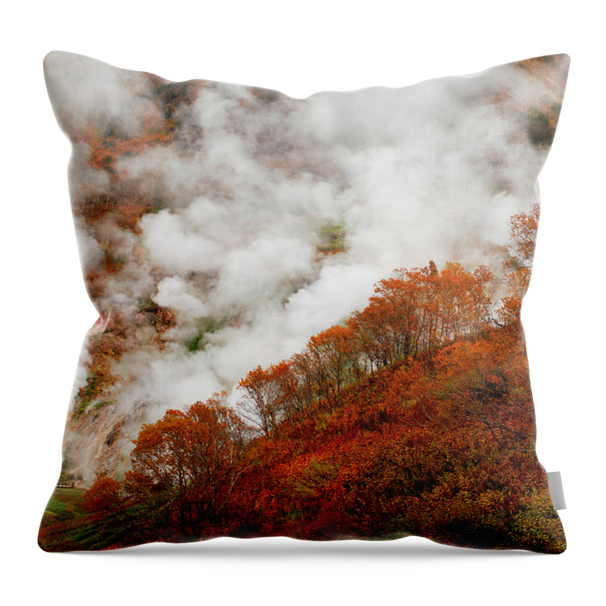 Autumncollection Throw Pillow featuring the photograph Ermans Birch Trees, Valley Of Geysers, Kamchatka, Russia by Igor Shpilenok / Naturepl.com