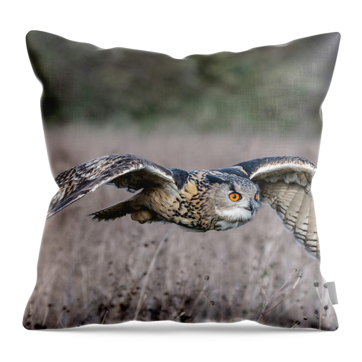 Owl Throw Pillow featuring the photograph Eurasian Eagle Owl in flight by Mark Hunter