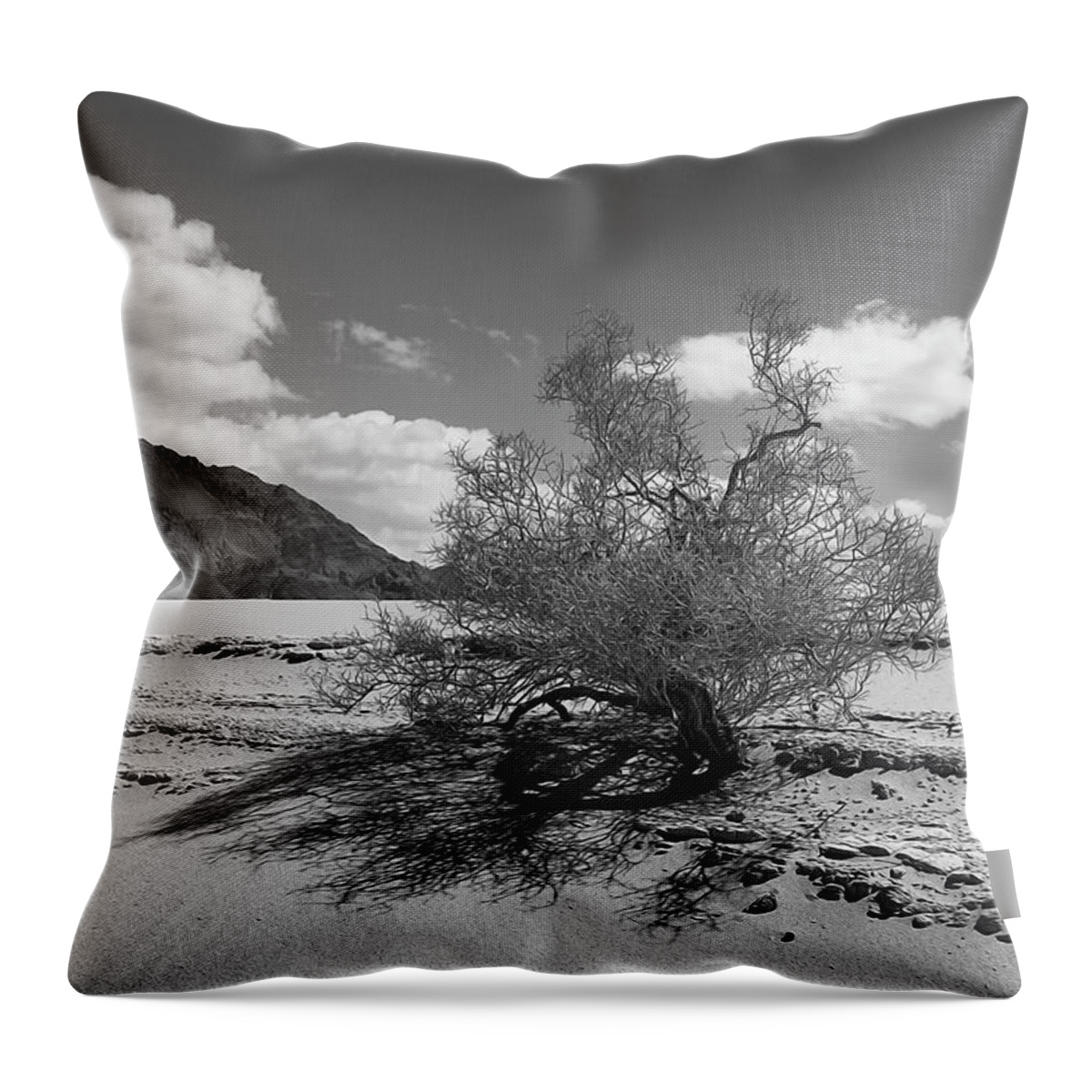 Death Valley Throw Pillow featuring the photograph Visions of Eureka Dunes by Joe Schofield