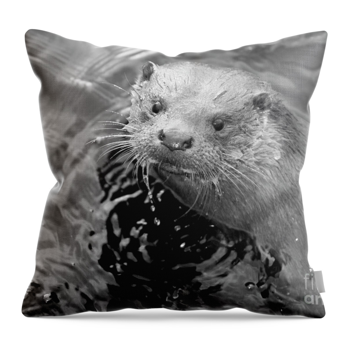 Ambleside Throw Pillow featuring the photograph European Otter by Science Photo Library