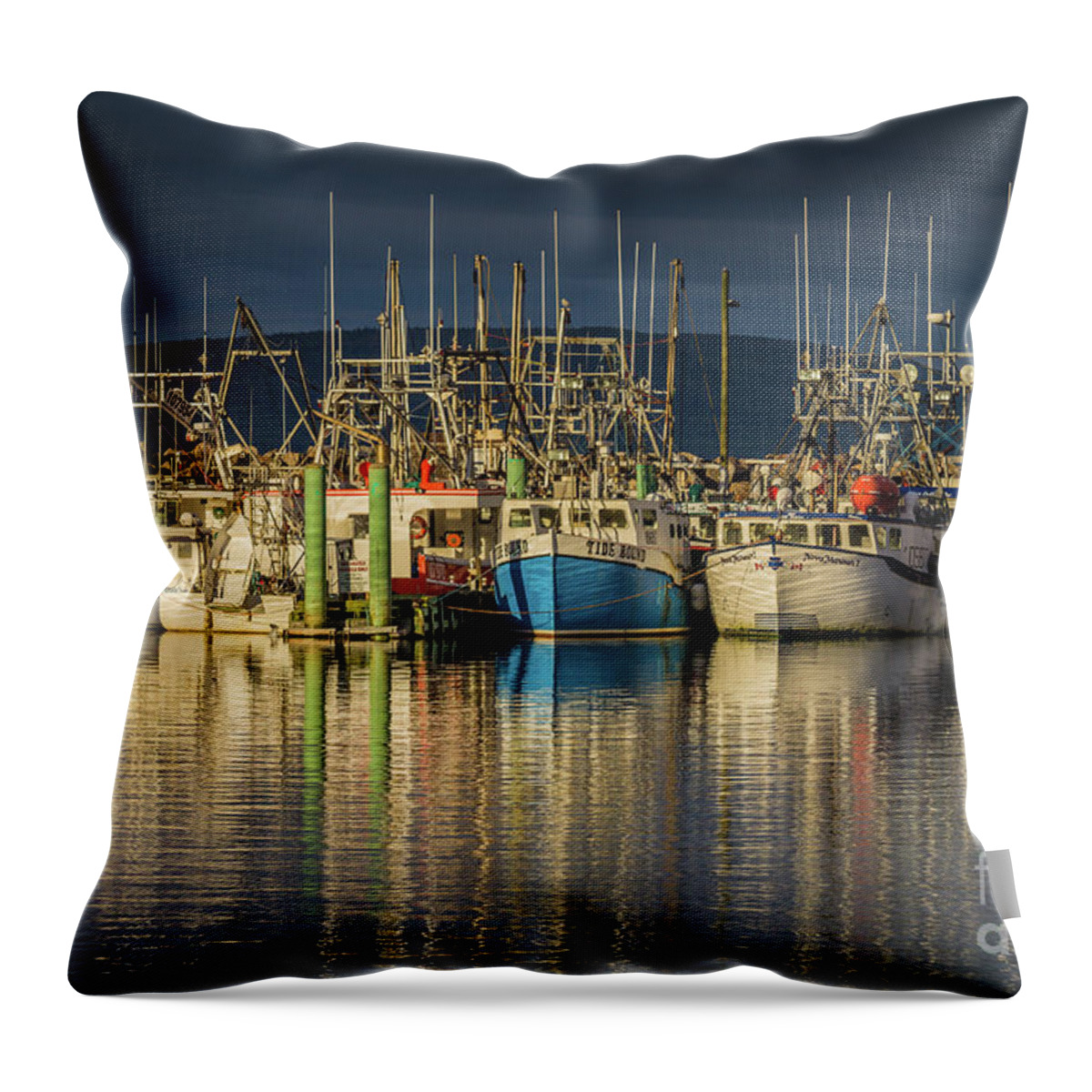 Evening Throw Pillow featuring the photograph Evening at Digby Harbor by Eva Lechner