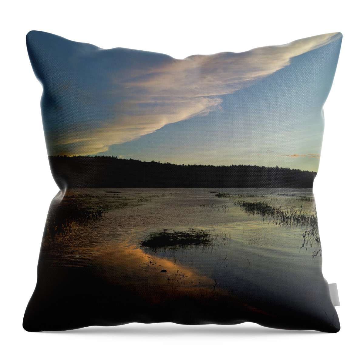 Clouds Throw Pillow featuring the painting Evening Flight by Jerry LoFaro
