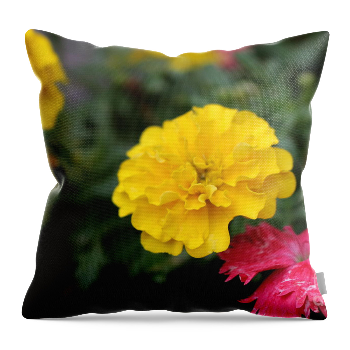 Everything Is Blooming Throw Pillow featuring the photograph Everything Is Blooming by Barbra Telfer
