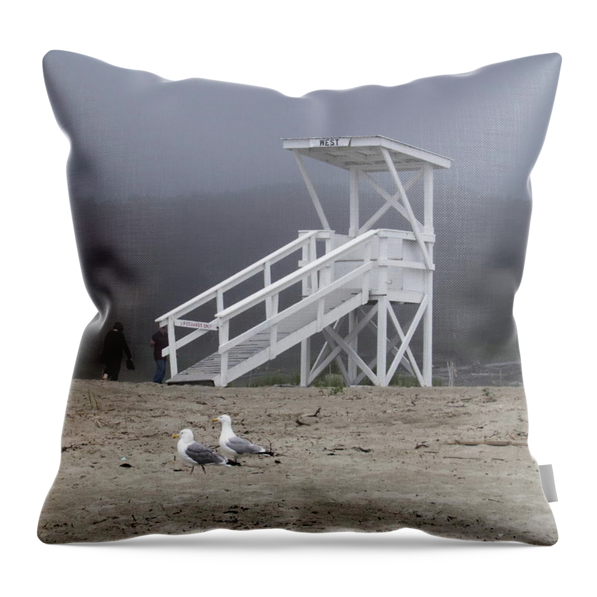 Popham Beach Throw Pillow featuring the photograph Exodus by Jean Evans