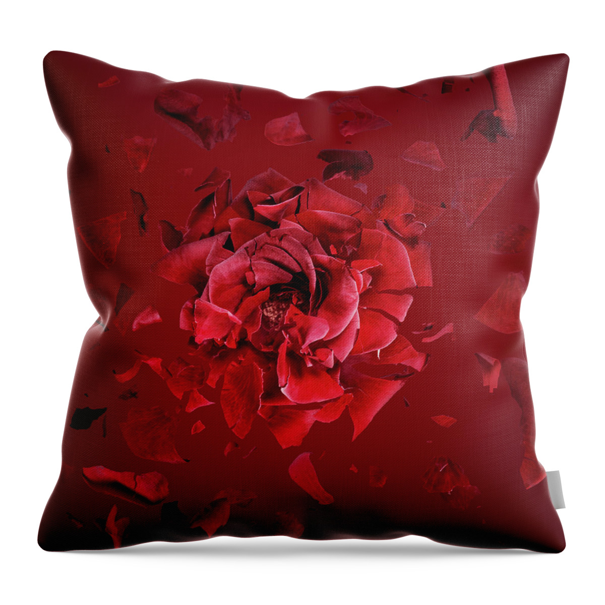 Mid-air Throw Pillow featuring the photograph Exploding Red Rose, Fragments Flying by Jonathan Knowles