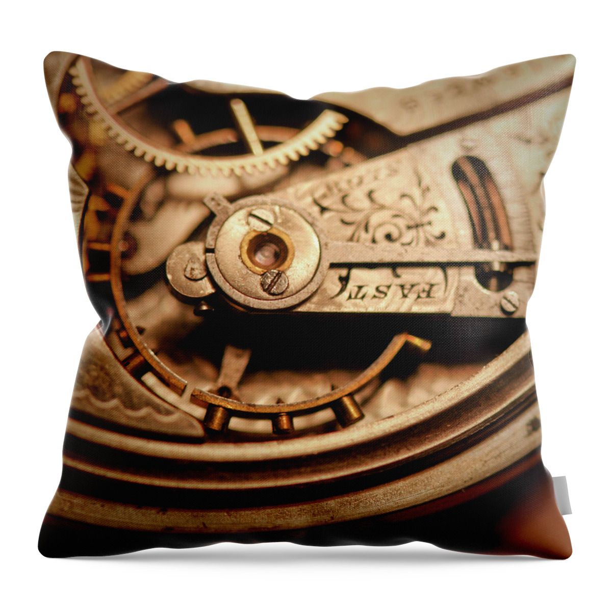 Michigan Throw Pillow featuring the photograph Exposing The Inner Workings And Gears by Rudy Malmquist