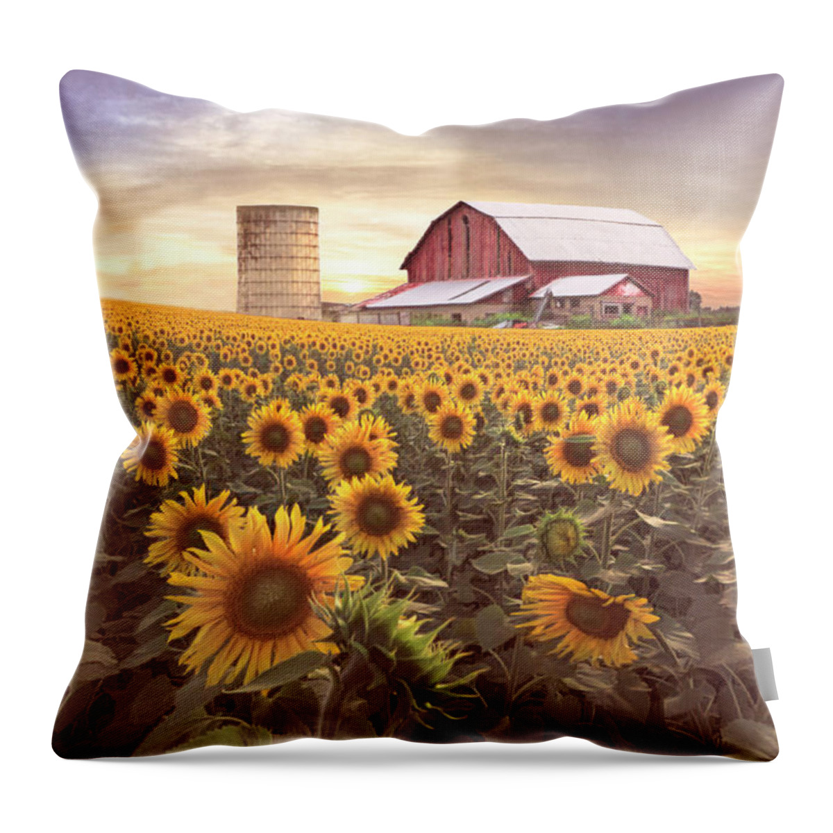 Barns Throw Pillow featuring the photograph Faces in Country Colors by Debra and Dave Vanderlaan
