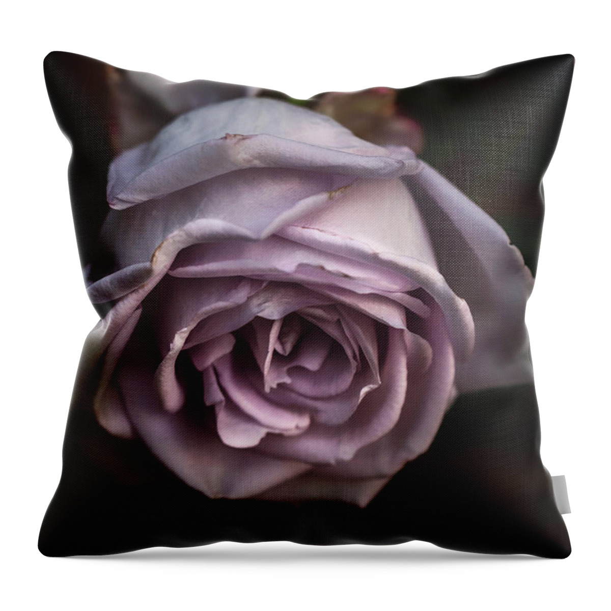 Flower Throw Pillow featuring the photograph Fading Bloom by Laura Roberts