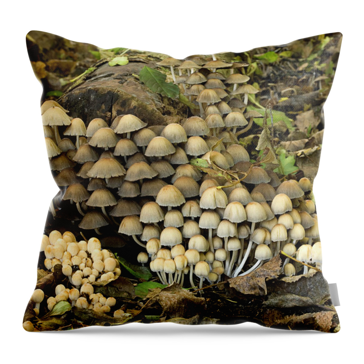Netherlands Throw Pillow featuring the photograph Fairies Bonnet Mushrooms Coprinus by Roel Meijer