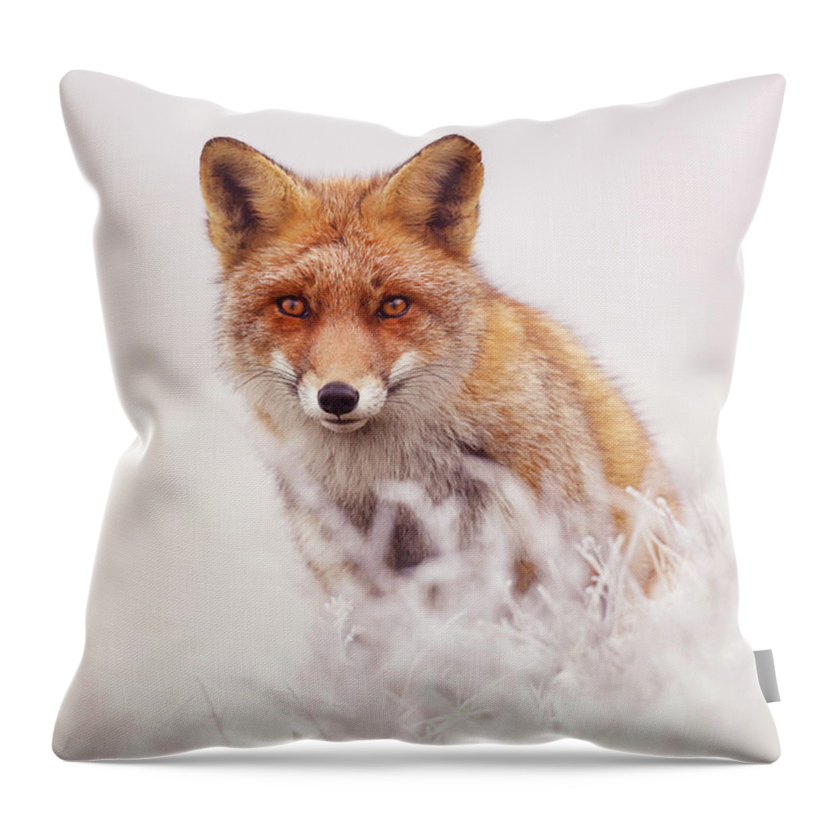 Fox Throw Pillow featuring the photograph Fairytale Fox Series - The Elusive Dog Fox by Roeselien Raimond