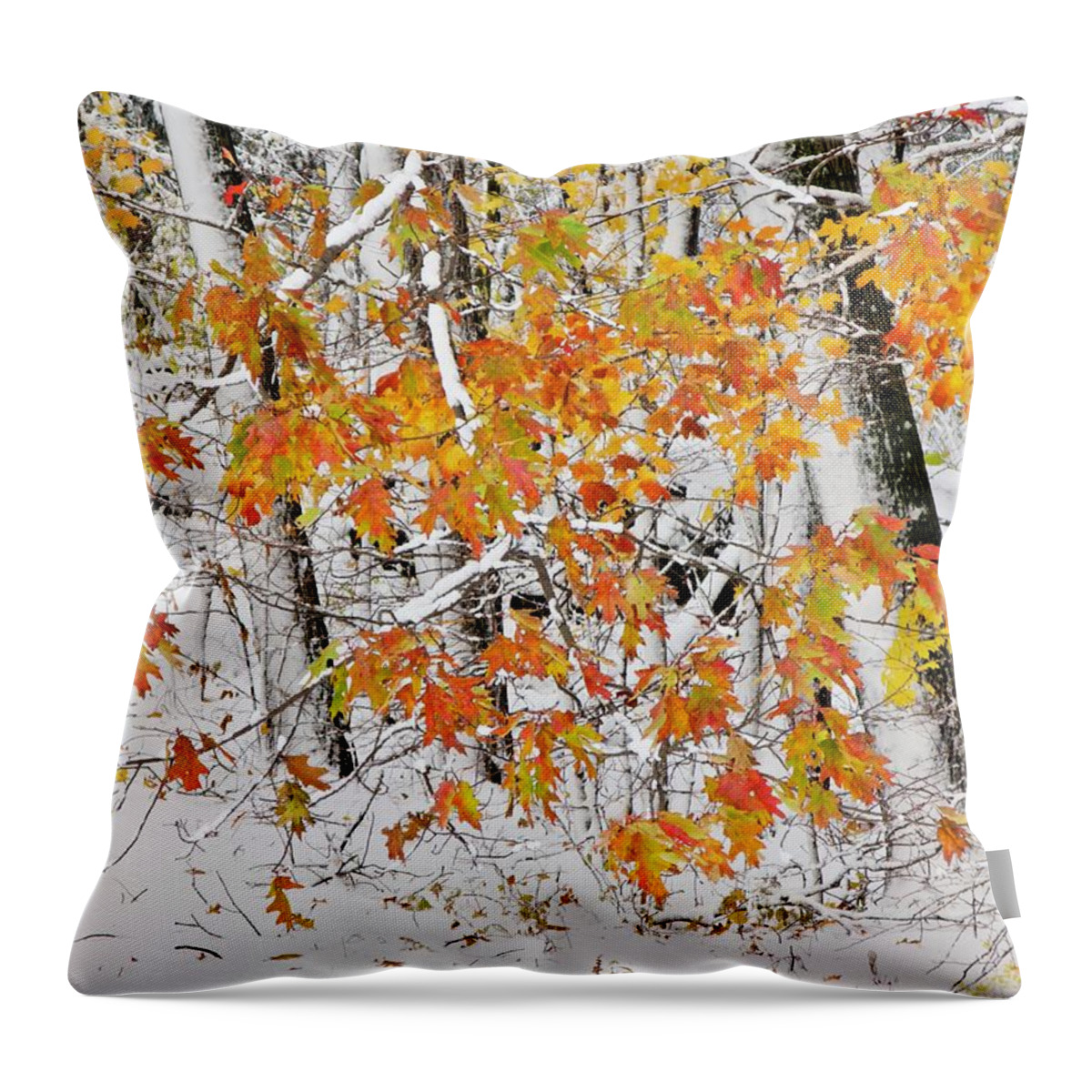  Photography Throw Pillow featuring the photograph Fall And Snow by Jeffrey PERKINS