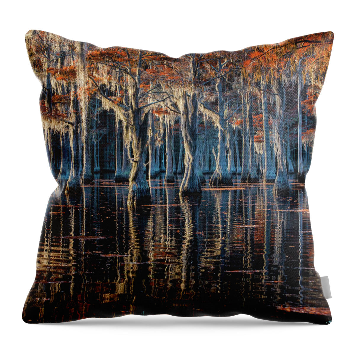 Abstract Throw Pillow featuring the photograph Fall at Cypress Lake - 2 by Alex Mironyuk