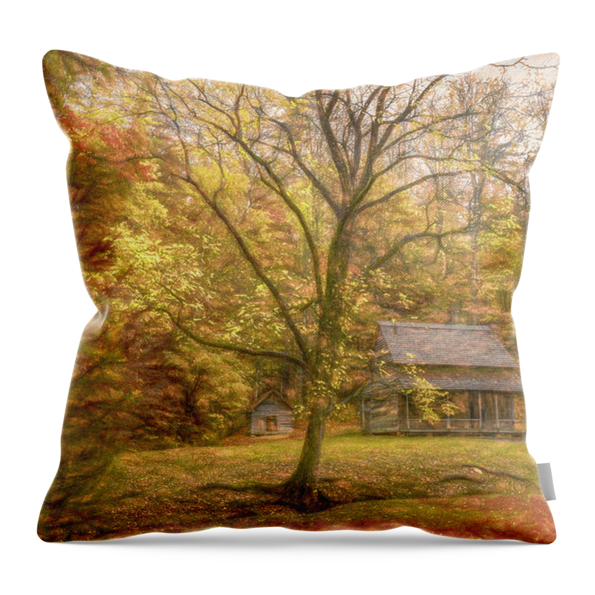 Cades Cove Throw Pillow featuring the photograph Fall at Henry Whitehead's Place by Marcy Wielfaert
