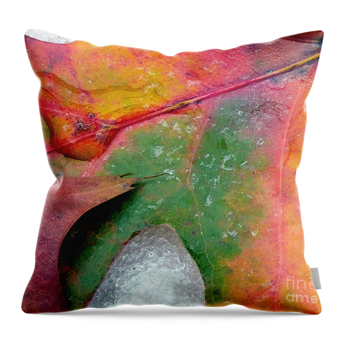 Autumn Throw Pillow featuring the photograph Fall Color and Snow by Amy Dundon