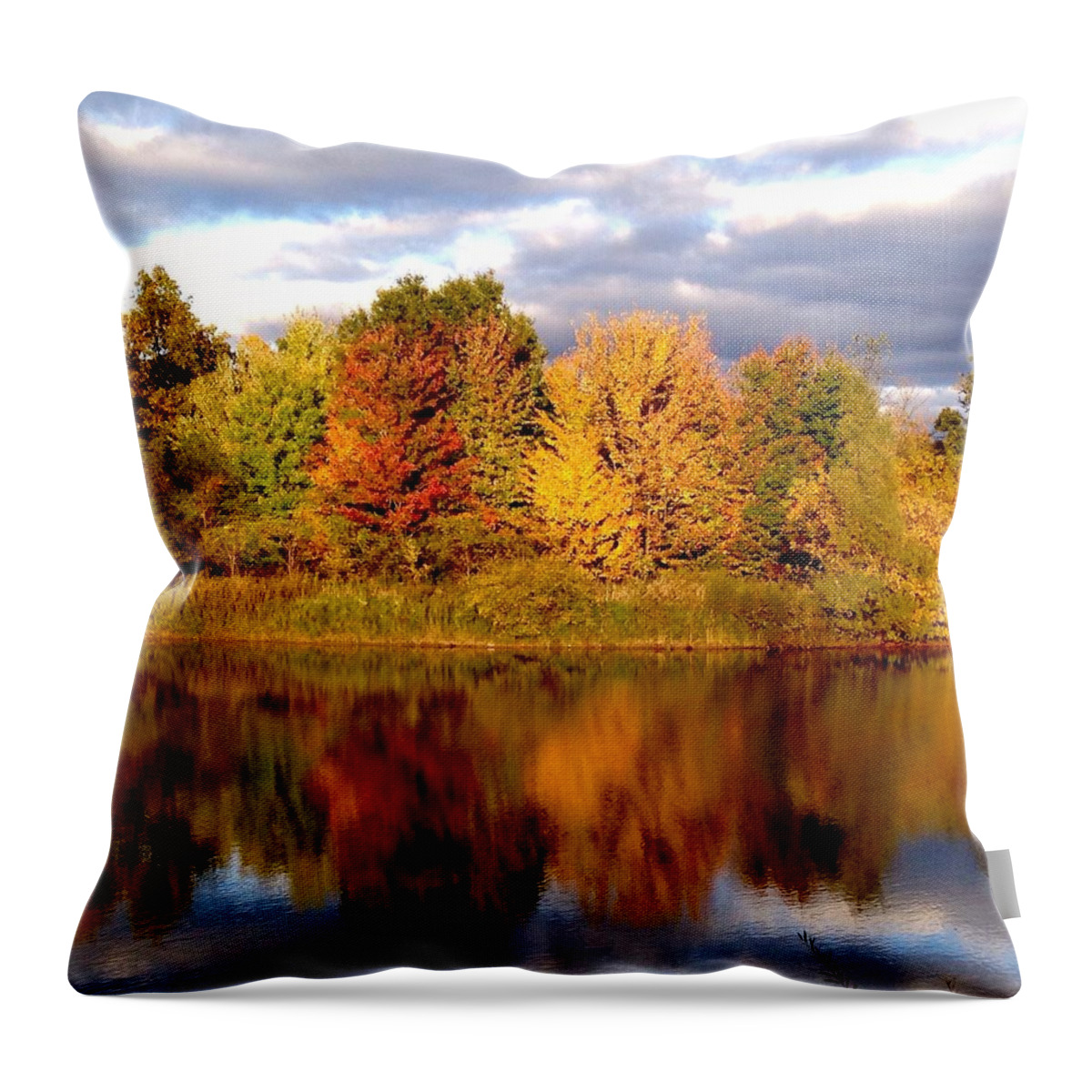 Landscape Throw Pillow featuring the photograph Fall Color Blast by Marty Klar