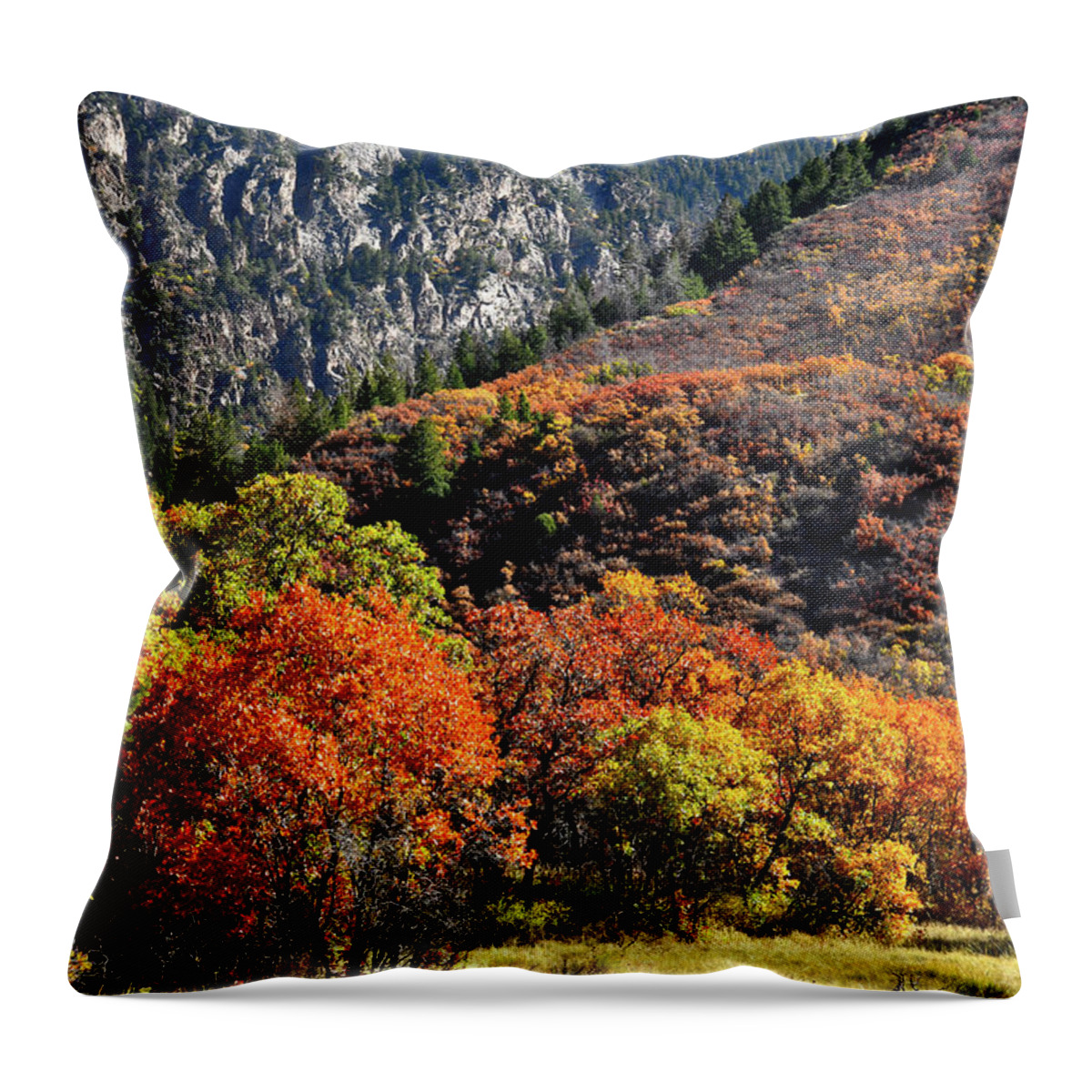 Colorado Throw Pillow featuring the photograph Fall Colored Oaks in Avalanche Creek Canyon by Ray Mathis