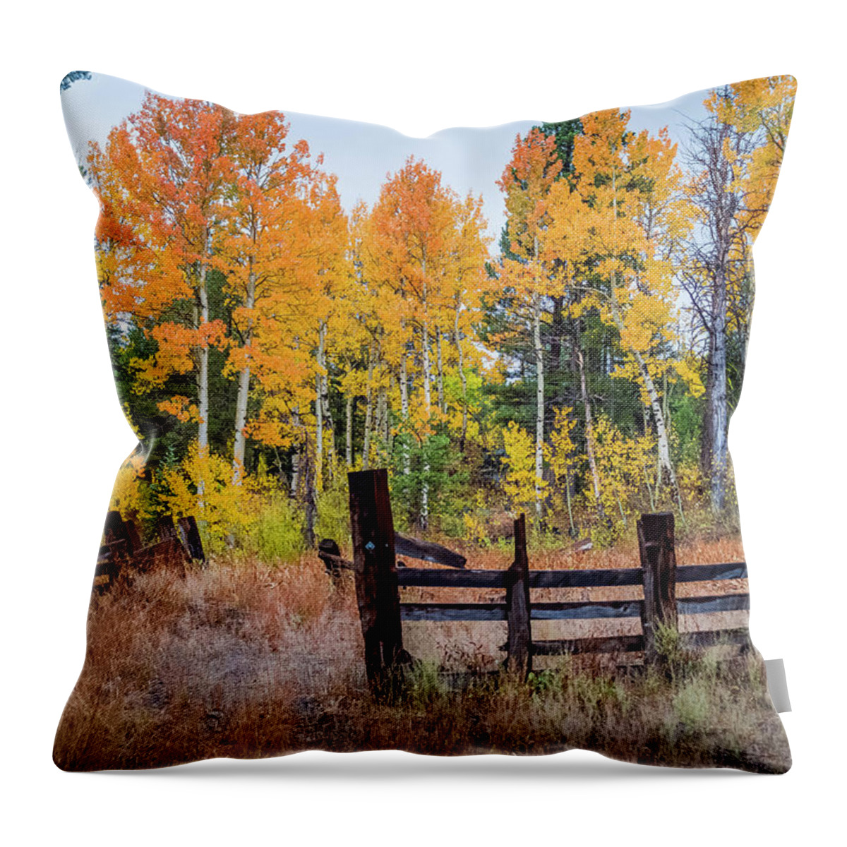 Fall Colors Throw Pillow featuring the photograph Fall Colors by Mike Ronnebeck