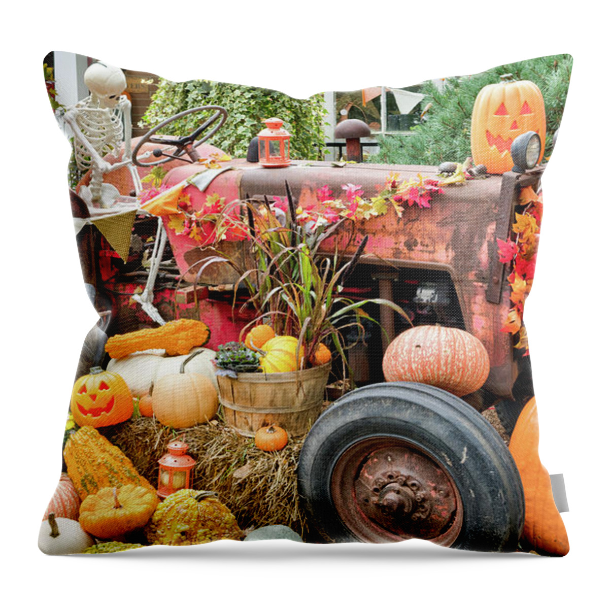 Fall Throw Pillow featuring the photograph Fall Decor by Nick Mares