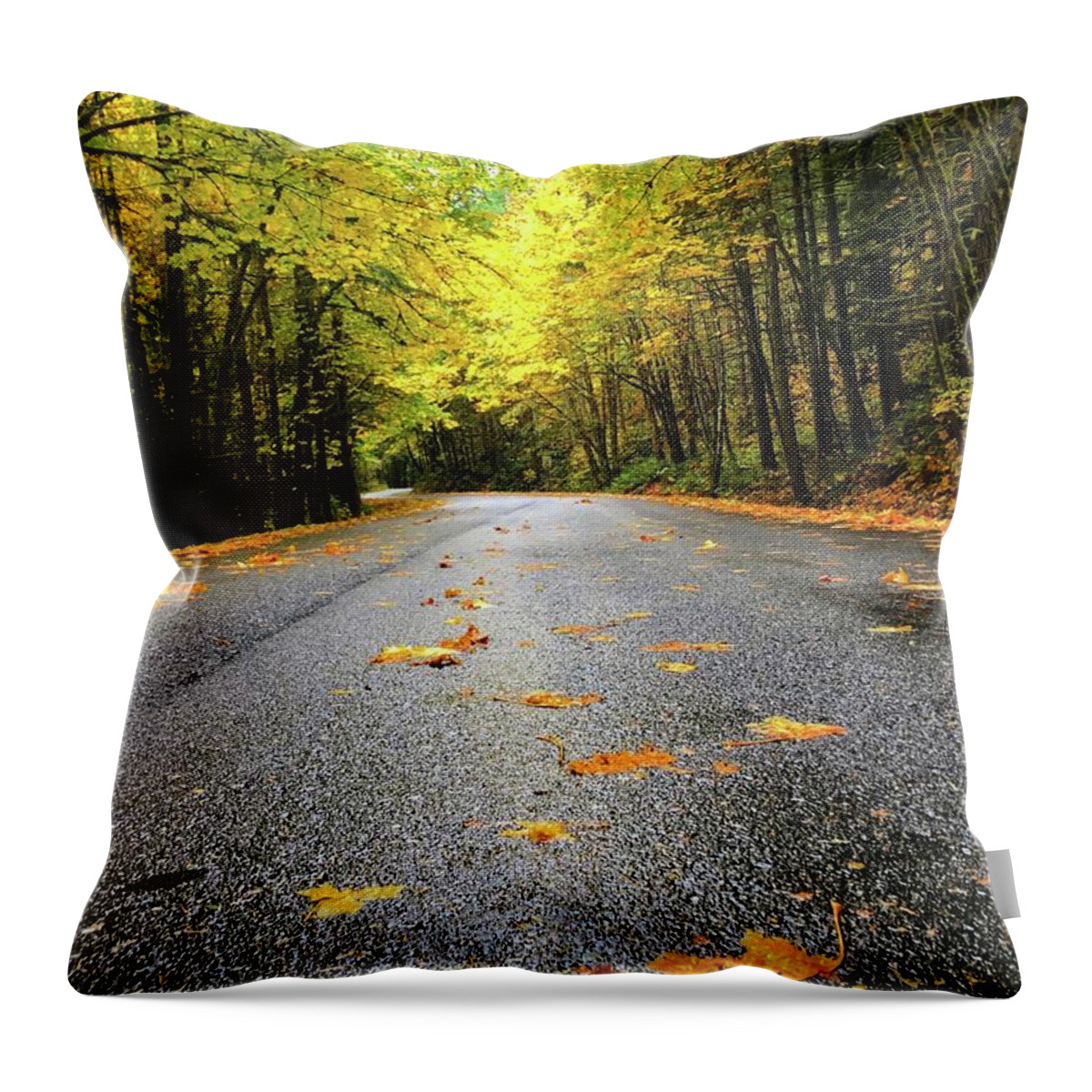 The Bright Yellows On The Fall Drive Were Stunning! Throw Pillow featuring the photograph Fall Drive by Brian Eberly