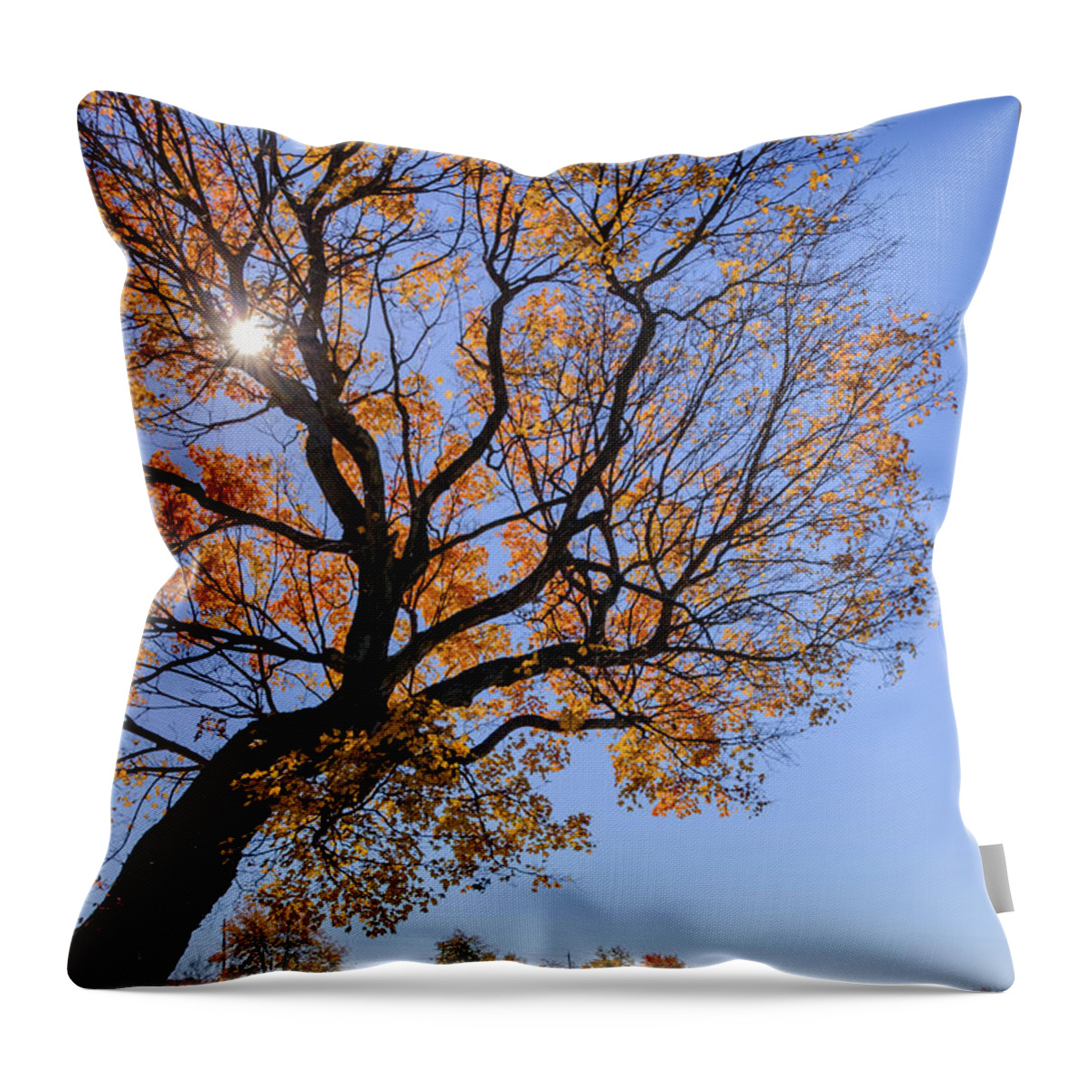 Fall Throw Pillow featuring the photograph Fall Farm by Glenn DiPaola