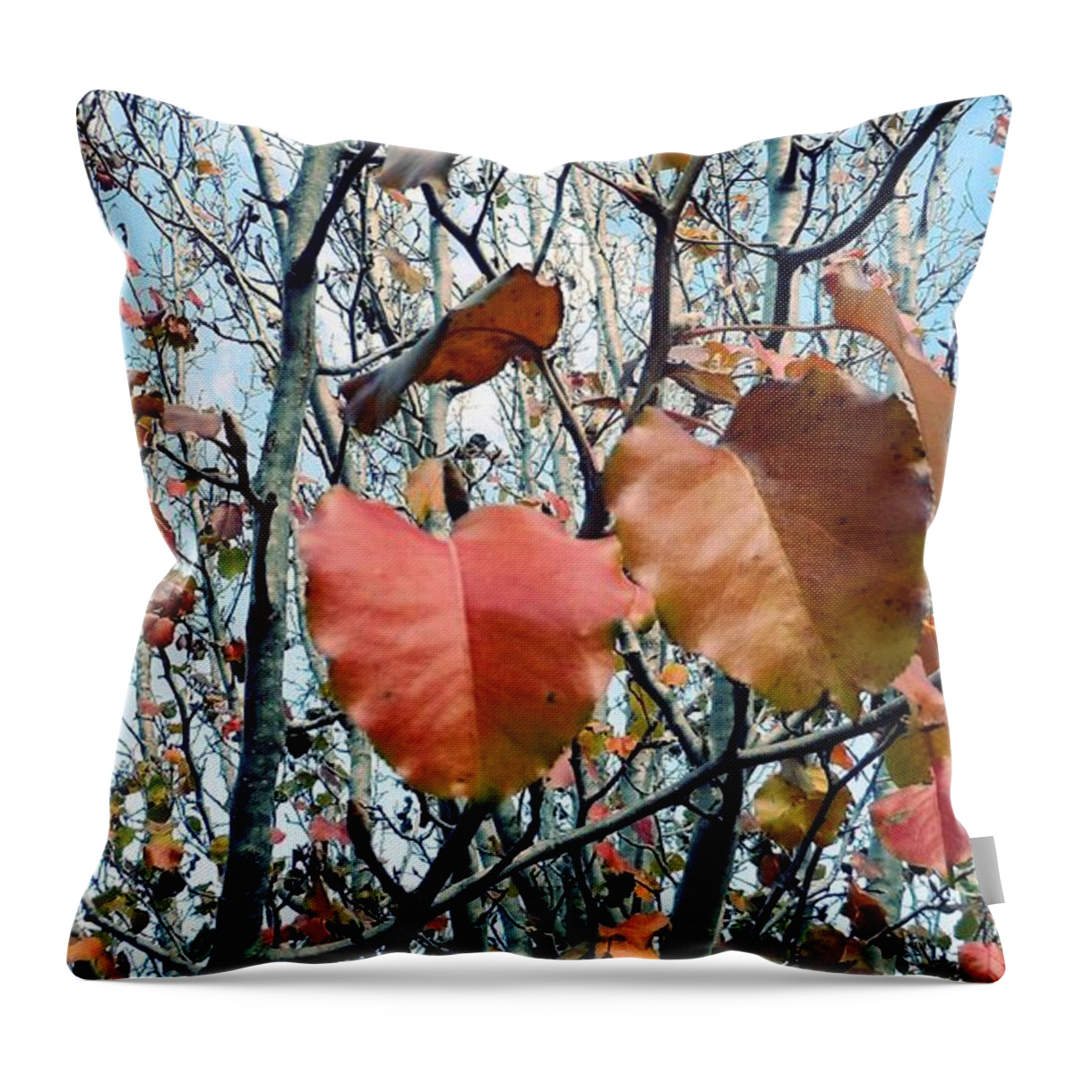 Fall Throw Pillow featuring the photograph Fall is Here by Ivars Vilums