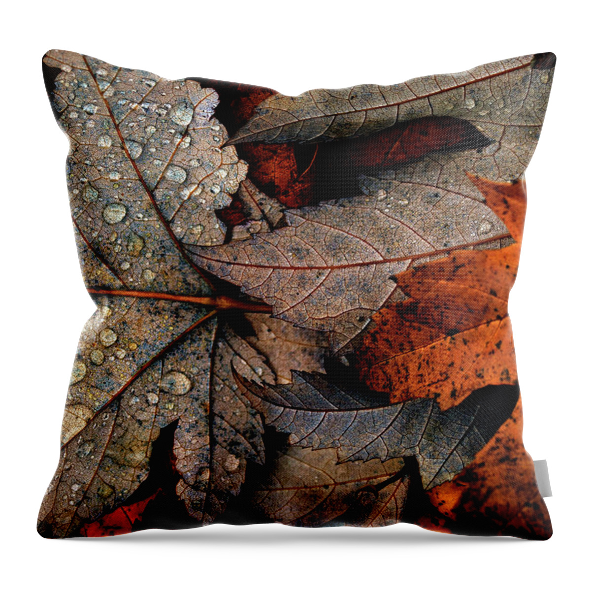 Outdoors Throw Pillow featuring the photograph Fall Leaves by Martin Hardman