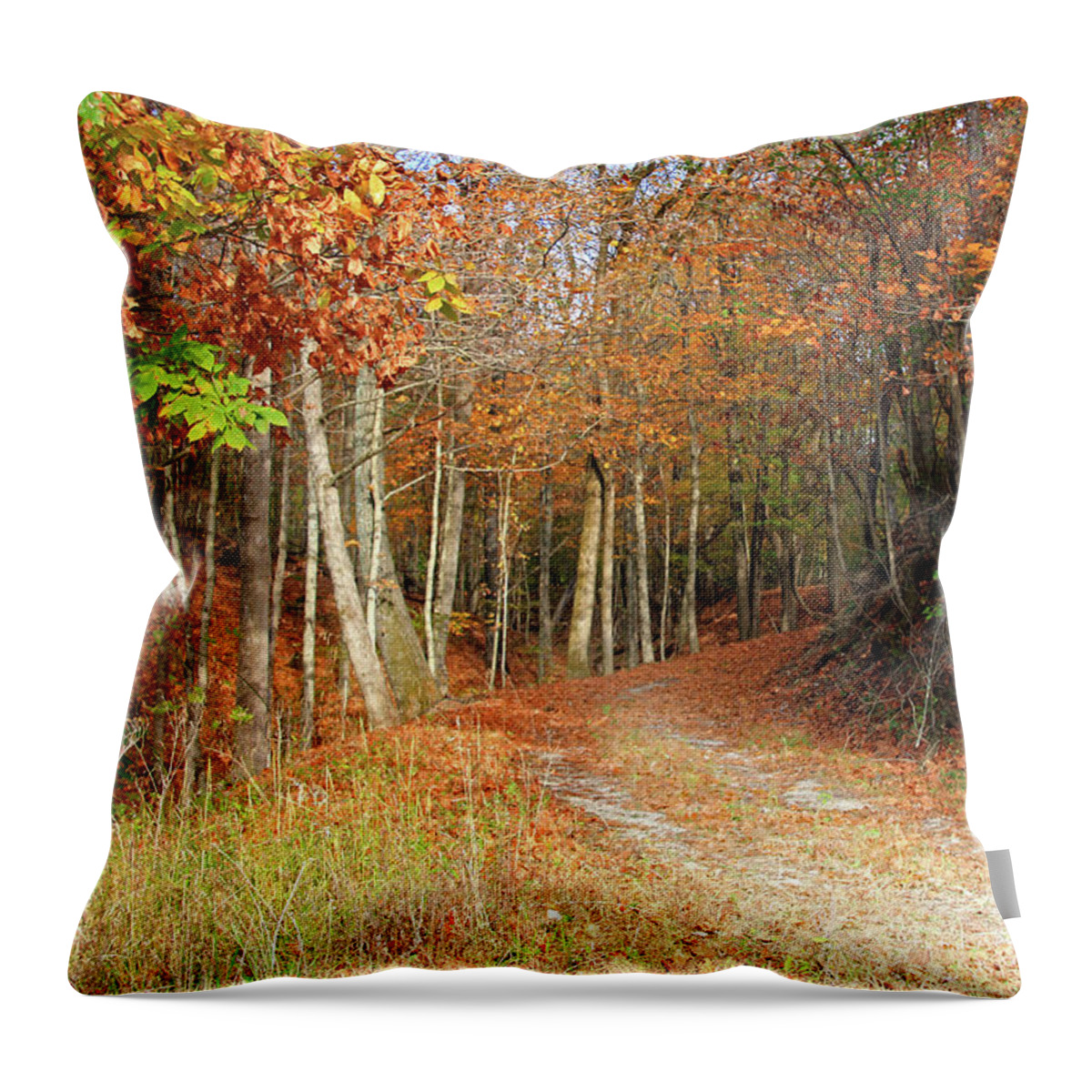 Fall Leaves On Path Throw Pillow featuring the photograph Fall Leaves on Path by Angela Murdock